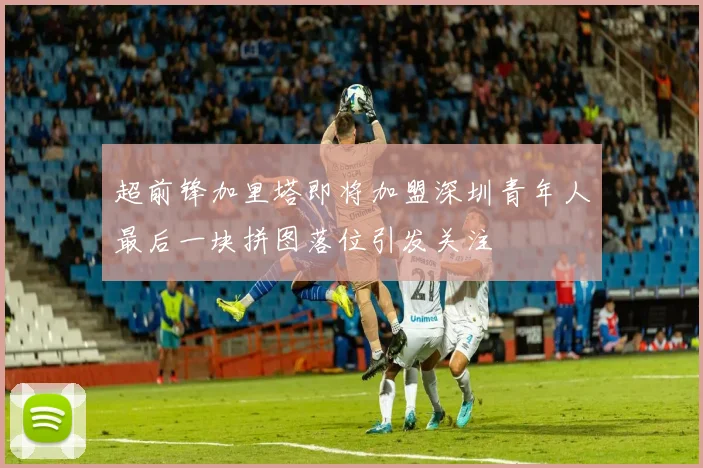 超前锋加里塔即将加盟深圳青年人最后一块拼图落位引发关注