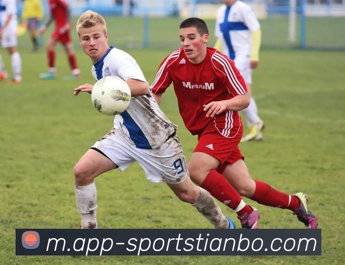 App Interface Preview