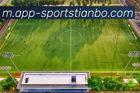 天博体育APP 封面图